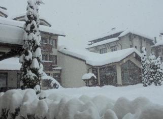 Hotel EVELINA PALACE
