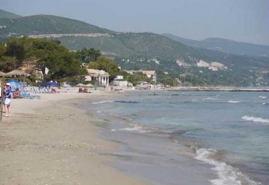 Cactus Insula Zakynthos Grecia