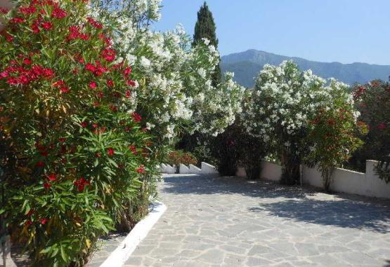 Ziogas Luxury Apartment's Insula Corfu Grecia