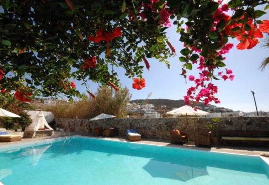 Dionysos Boutique Hotel Insula Mykonos Grecia