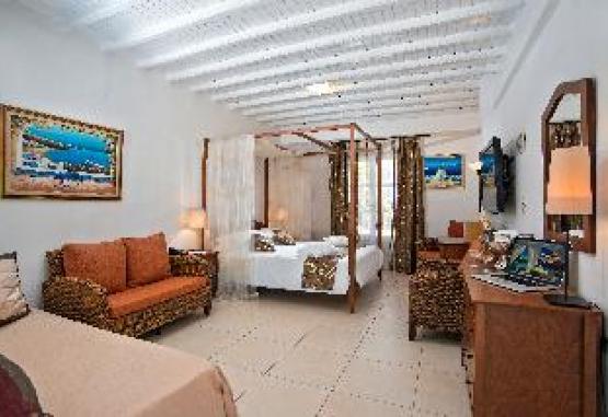 Dionysos Boutique Hotel Insula Mykonos Grecia