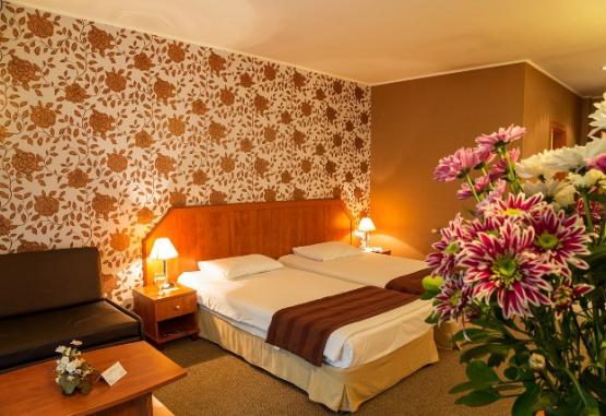 PARK HOTEL OLYMP  Velingrad 