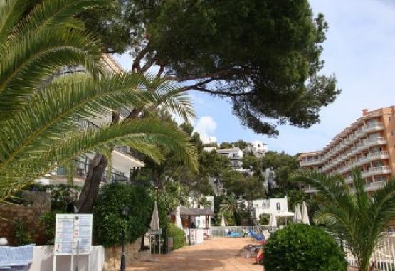 Aparthotel Roc Illetas Playa Regiunea Mallorca Spania