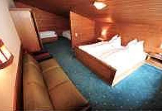 Appartement Regina Zell am Ziller Austria
