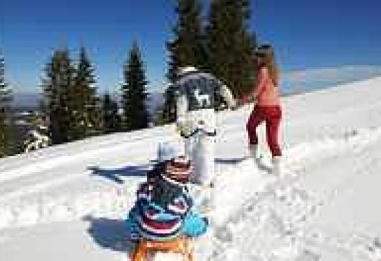 Gastehaus Larchenheim Mayrhofen Austria