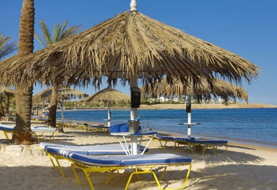 Jaz Sharm Dreams Resort Naama Bay Egipt