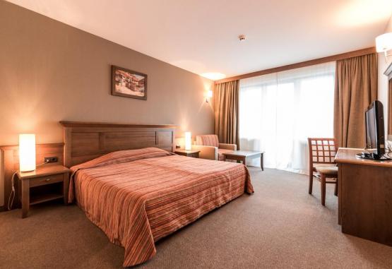 Hotel Lion Bansko 4* Bansko Bulgaria