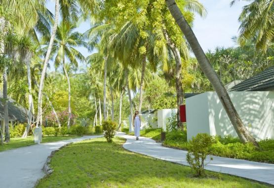 Holiday Island Resort Regiunea Maldive 