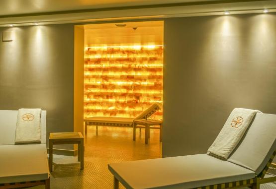 Hotel Palmon Bay Spa Regiunea Muntenegru 