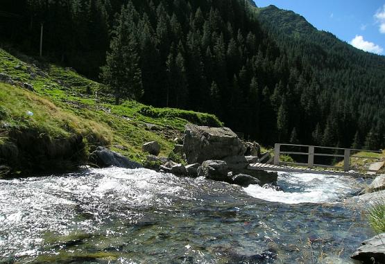 Cabana Capra  Arefu Romania