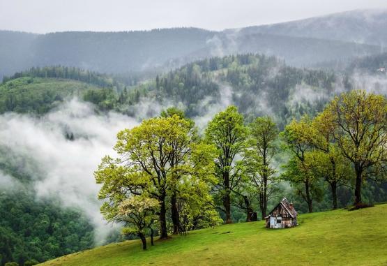 Hohe Rinne Paltinis Hotel & Spa Paltinis Romania