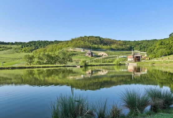 Hotel Binderbubi Medias Medias Romania