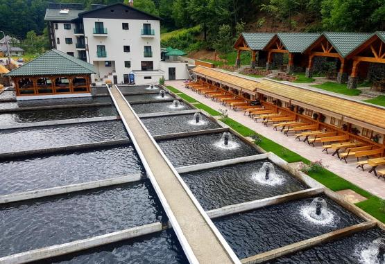 Hotel Lostrita Blidari Romania