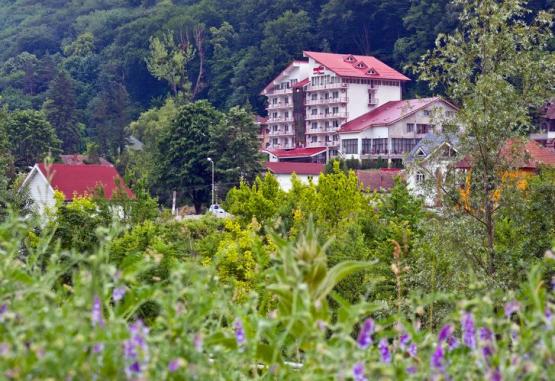 Hotel Orizont Cozia Calimanesti Romania