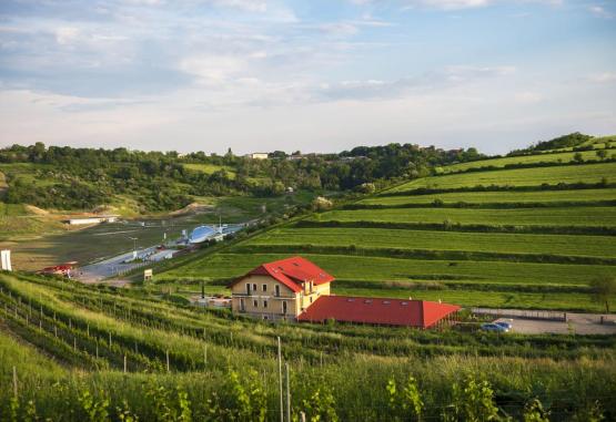 Pensiunea Sarea-n Bucate Turda Romania