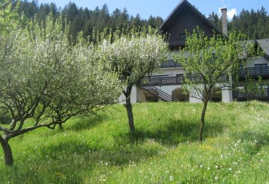 Pensiune Bucovina Lodge Bucovina Romania