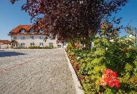 Europa Kokeltal Sighisoara Romania