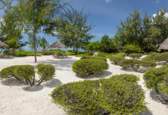 Hakuna Majiwe Beach Lodge Zanzibar Tanzania