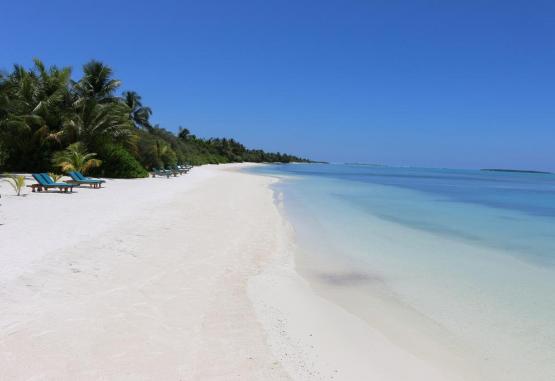 Canareef Resort Maldives Regiunea Maldive 