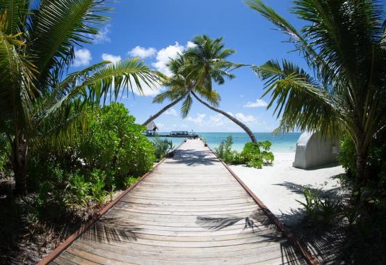 Canareef Resort Maldives Regiunea Maldive 