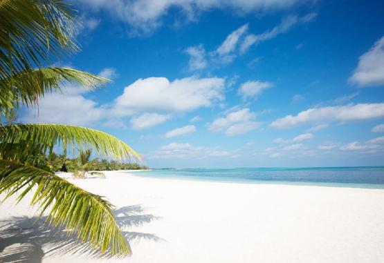 LUX South Ari Atoll Regiunea Maldive 