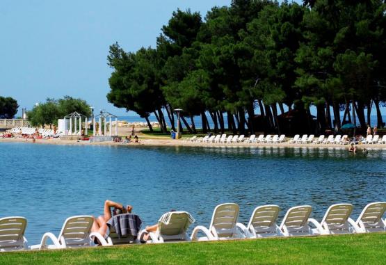 Apartments Sol Amfora for Plava Laguna  Umag Croatia