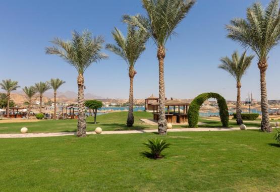 XPERIENCE SAINT GEORGE 4* Regiunea Sharm El Sheikh Egipt