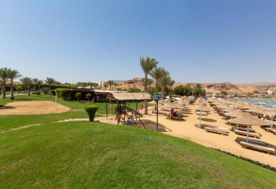 XPERIENCE SAINT GEORGE 4* Regiunea Sharm El Sheikh Egipt