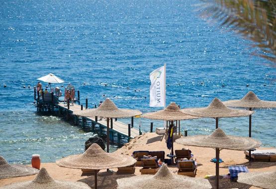 Amphoras Aqua Hotel (Ex. Shores Golden) Regiunea Sharm El Sheikh Egipt