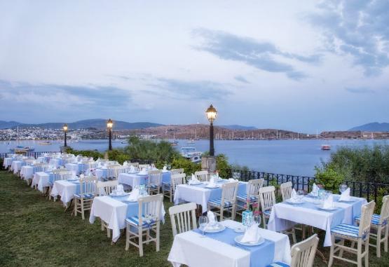 Wow Bodrum Resort Regiunea Bodrum Turcia