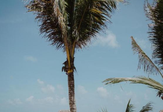 Cielo Maya Beach Tulum Cancun si Riviera Maya Mexic