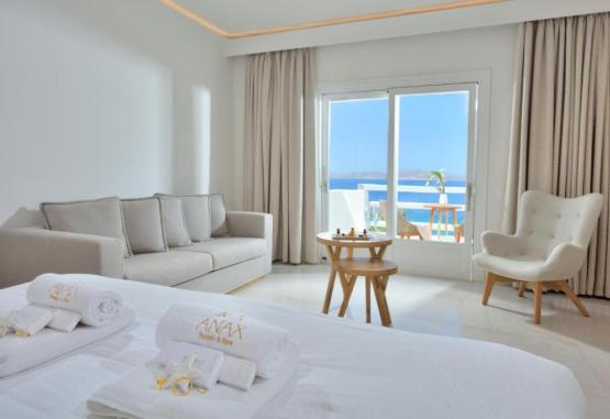 Anax Resort and Spa Insula Mykonos Grecia