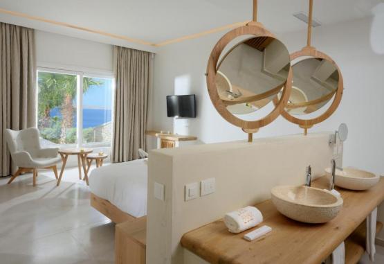 Anax Resort and Spa Insula Mykonos Grecia