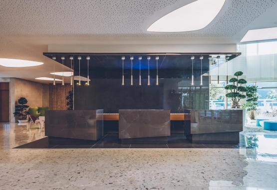 Carine Hotel Kumbor Regiunea Muntenegru 