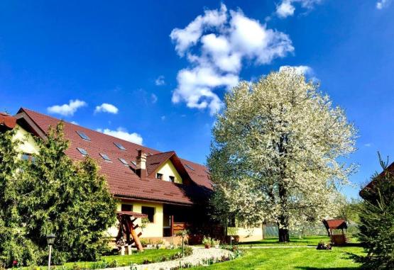 Casa Galbena Arbore Romania