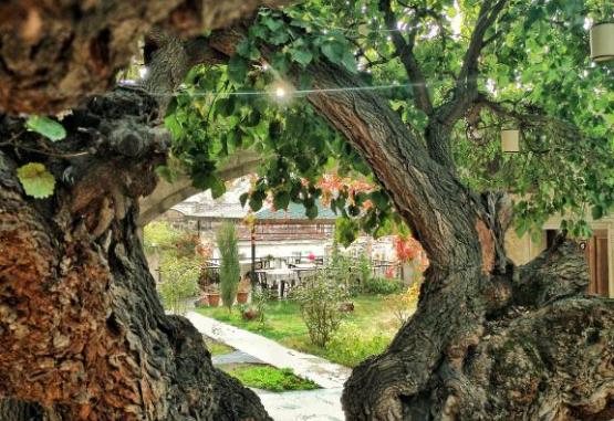 Dervish Cave House  Goreme Turcia