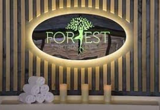 Forest Retreat and SPA Ramnicu Valcea Romania