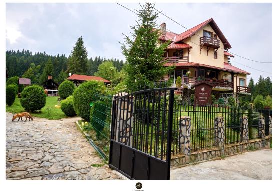 Fox Valley  Predeal Romania