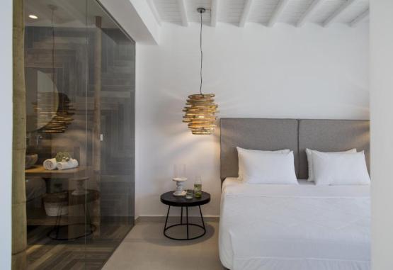 Ftelia Bay Boutique Hotel 4* Insula Mykonos Grecia