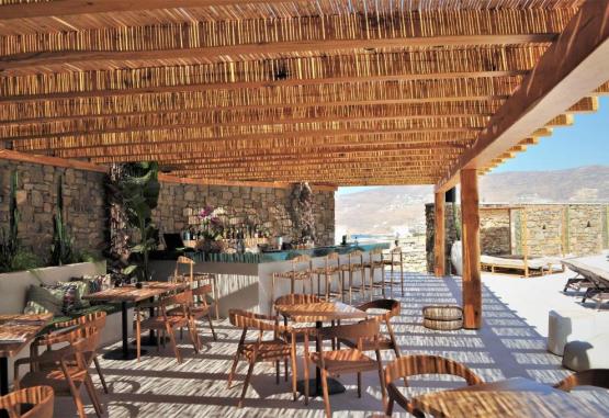 Ftelia Bay Boutique Hotel 4* Insula Mykonos Grecia