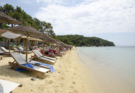 Skiathos Oasis Hotel Skiathos Grecia