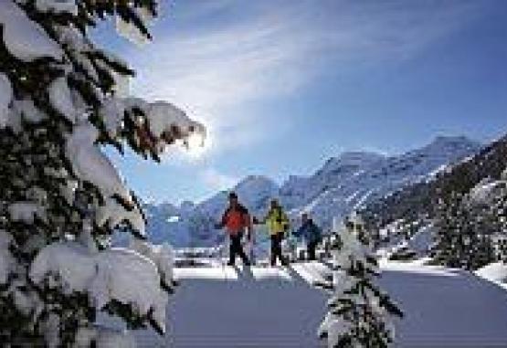 Hotel Schweizerhof Pontresina Regiunea Elvetia