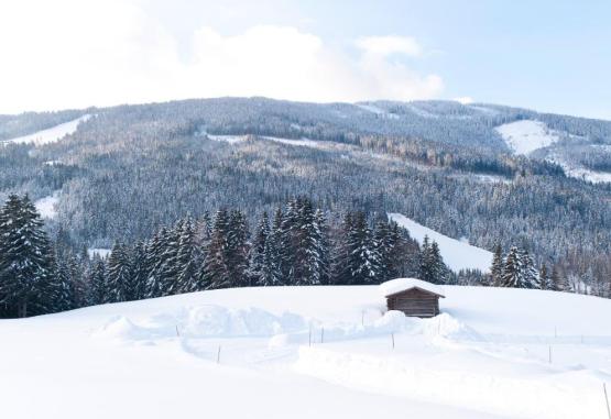 Hotel Alpenkrone  Filzmoos Austria