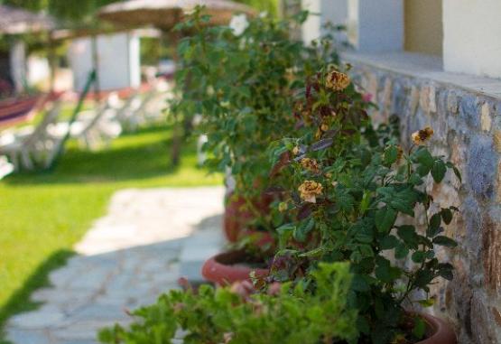 Michalis Studios - Troulos  Skiathos Grecia