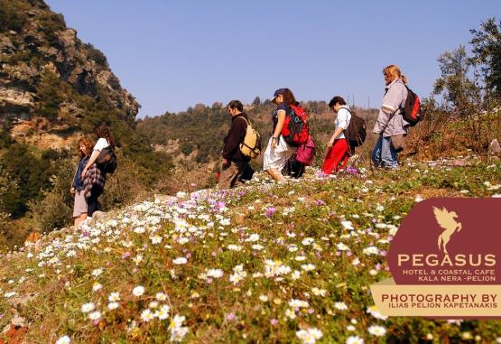 Pegasos Hotel - Kala Nera  Kala Nera Grecia