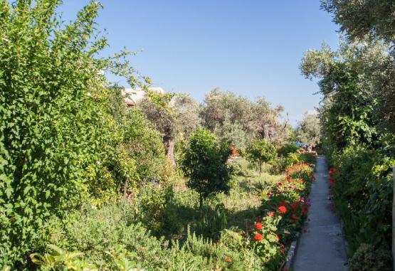 Roula Beach Villa - Megali Ammos  Skiathos Grecia