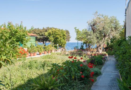 Roula Beach Villa - Megali Ammos  Skiathos Grecia