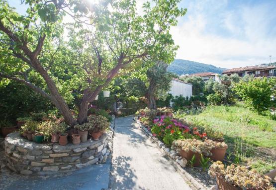 Roula Beach Villa - Megali Ammos  Skiathos Grecia