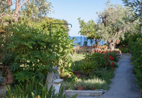 Roula Beach Villa - Megali Ammos  Skiathos Grecia