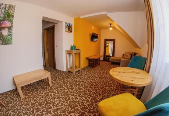 Residence Rooms Bucovina  Campulung Moldovenesc Romania